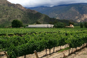 cafayate